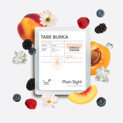 10 pcs Bundle TABE BURKA - Single Origin -Freshly Roasted Specialty Coffee Beans -100% Arabica | PlainSight 1kg